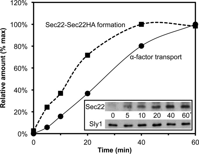 FIGURE 9.