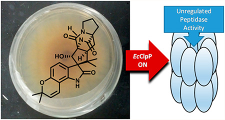 graphic file with name nihms773967f6.jpg