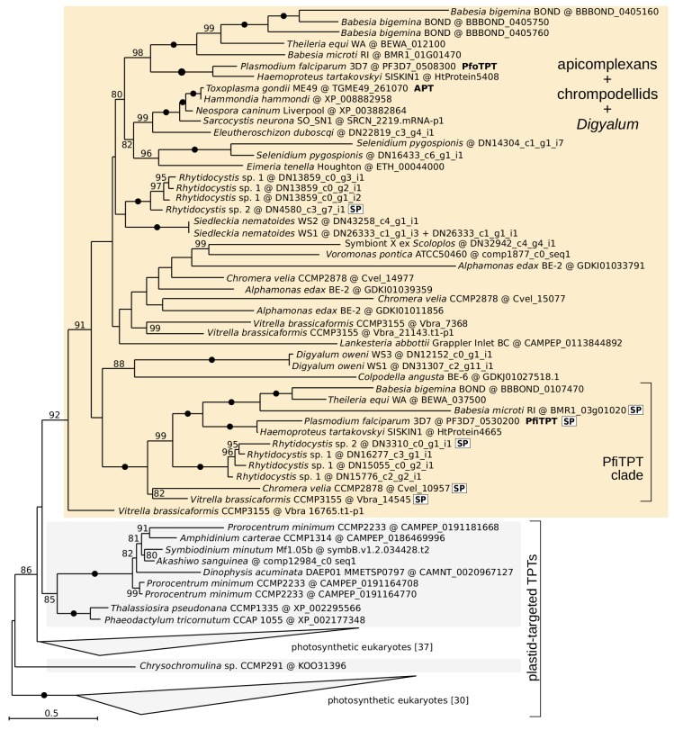 Figure 2—figure supplement 2.