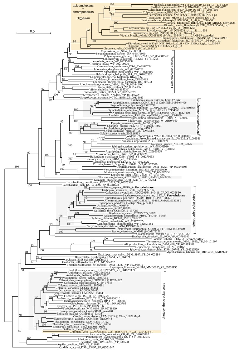 Figure 4—figure supplement 2.