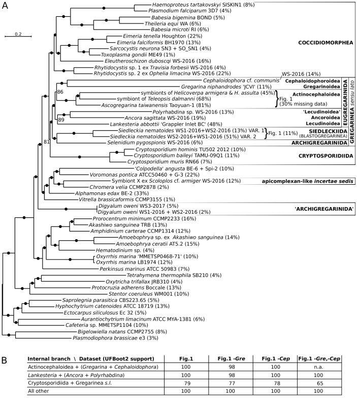 Figure 1—figure supplement 1.