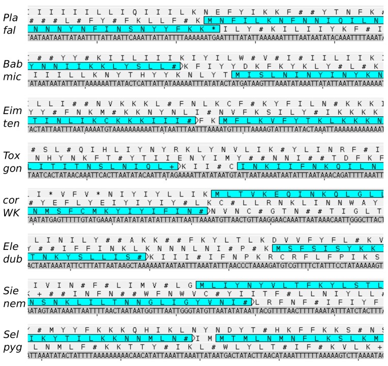 Figure 4—figure supplement 1.