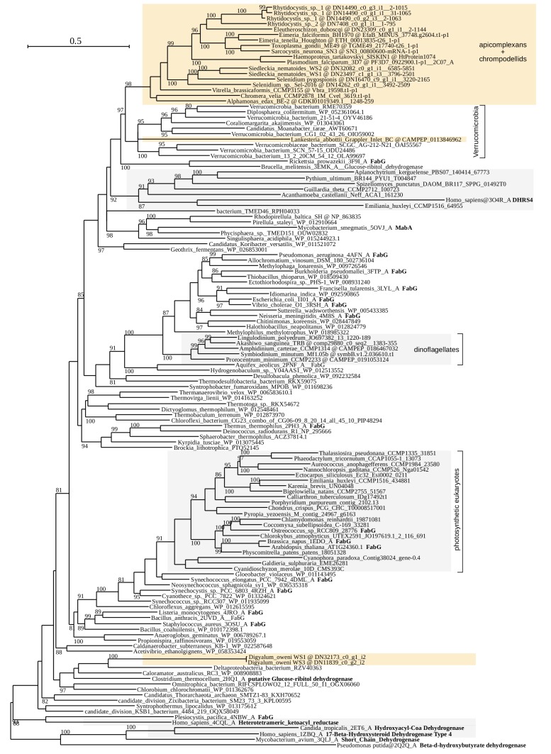 Figure 4—figure supplement 3.