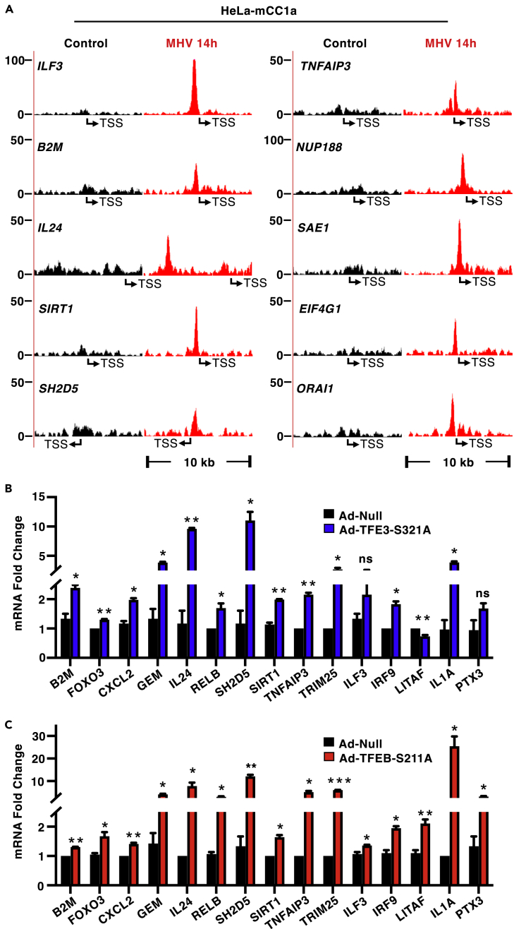 Figure 4