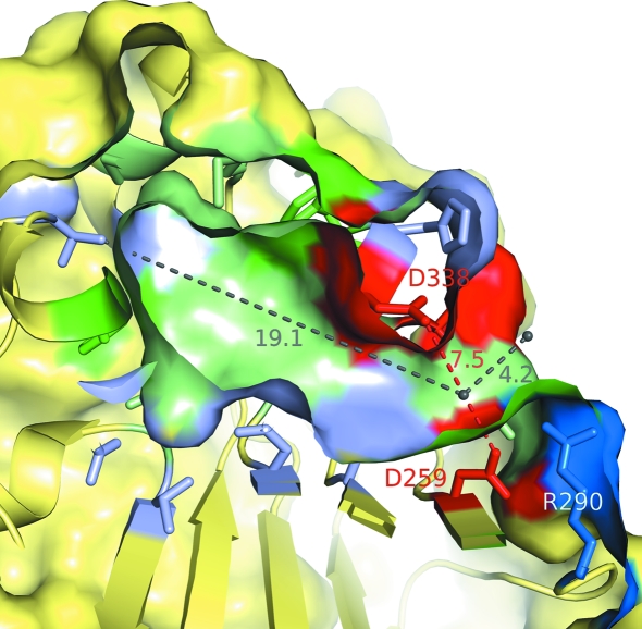 Figure 7