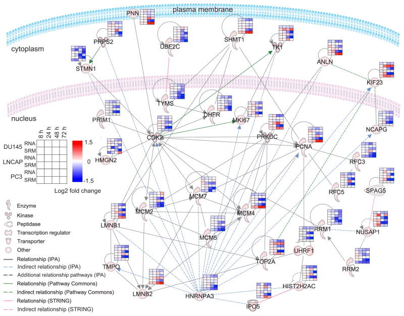 Human Srmatlas A Resource Of Targeted Assays To Quantify The Complete