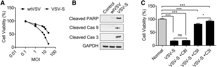 Figure 3