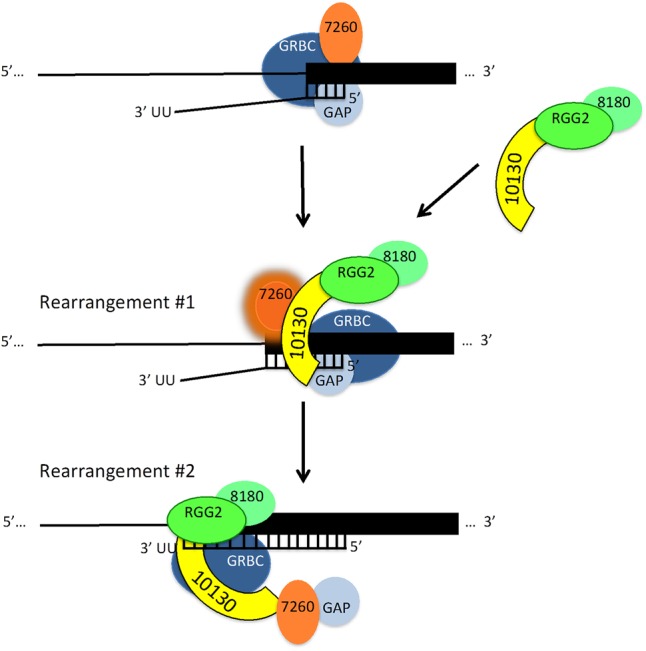 FIGURE 7.