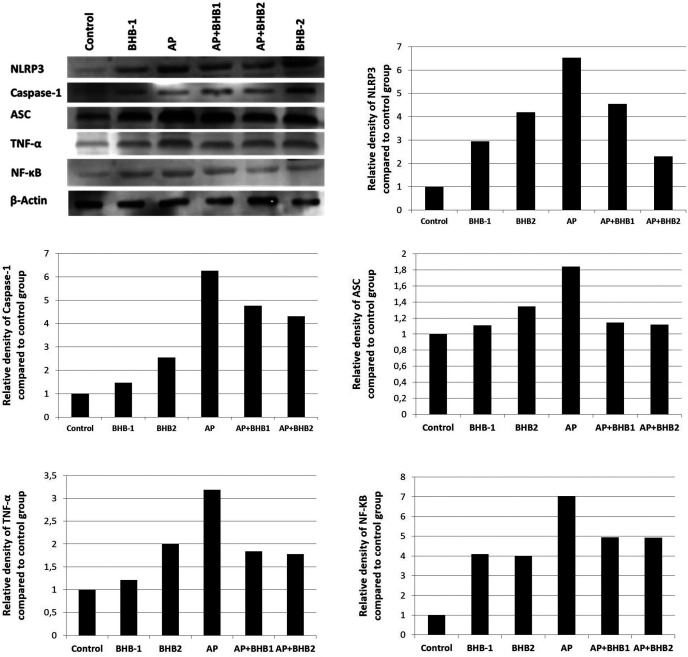 Figure 6.