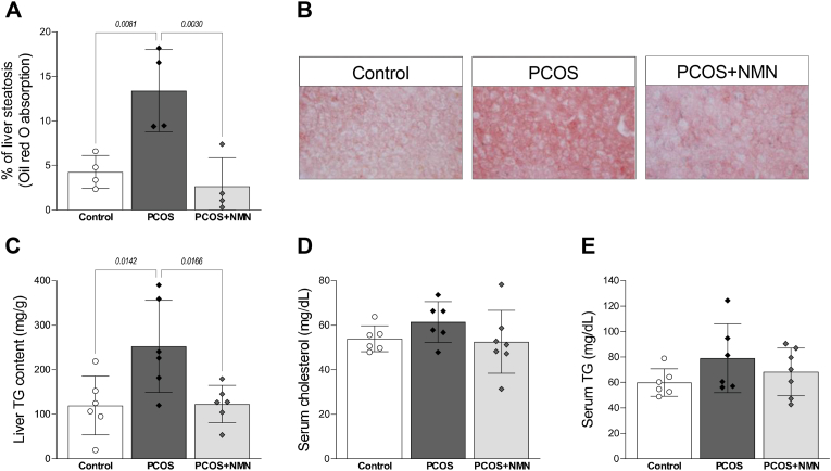 Figure 4