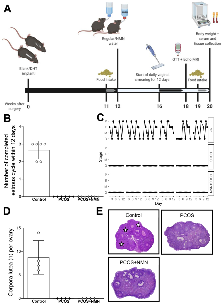 Figure 1