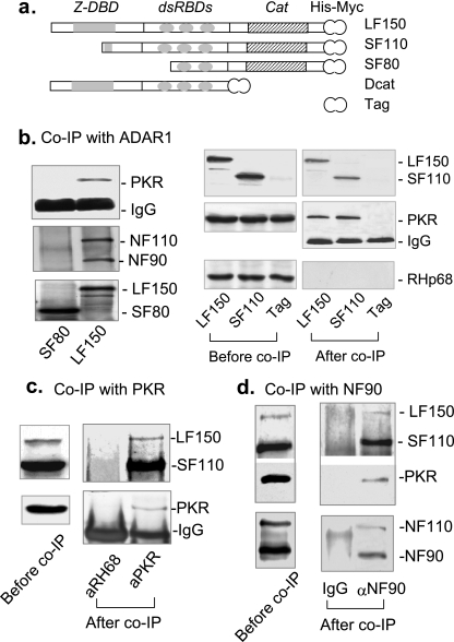 FIG. 1.