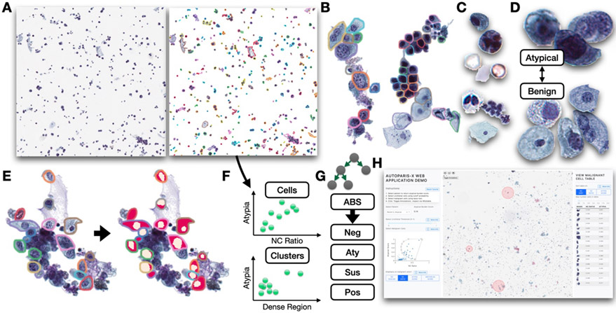 Figure 1: