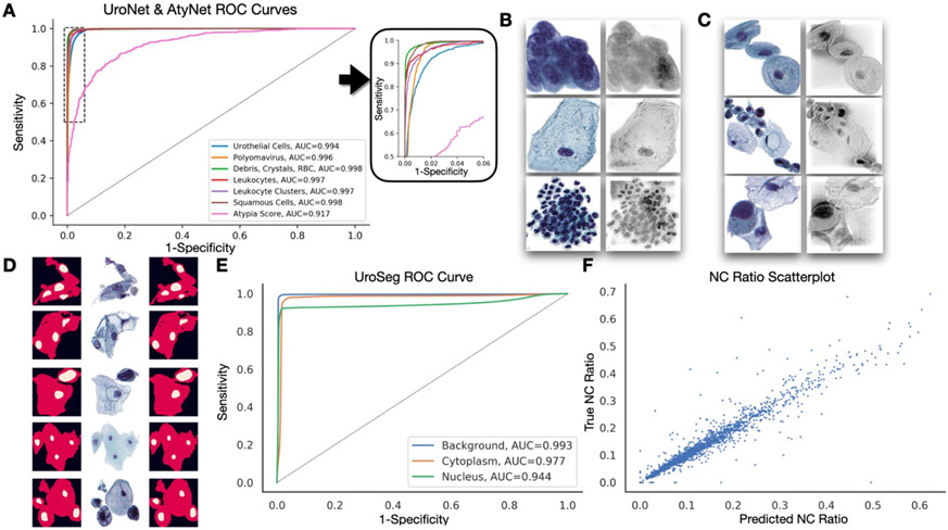 Figure 3: