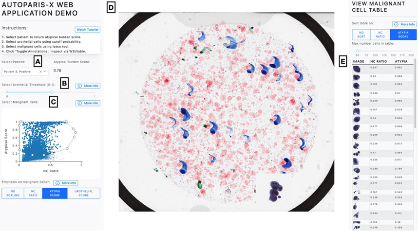 Figure 2: