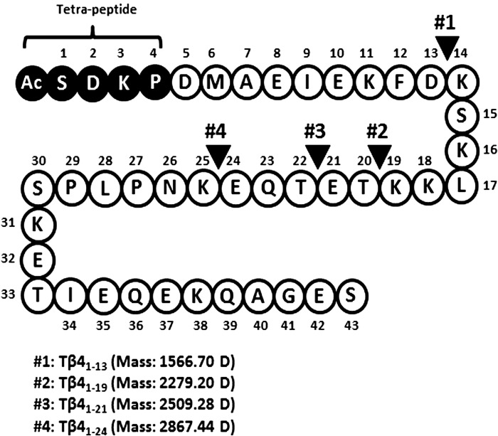 Fig. 9.