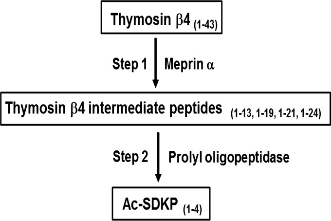 Fig. 10.