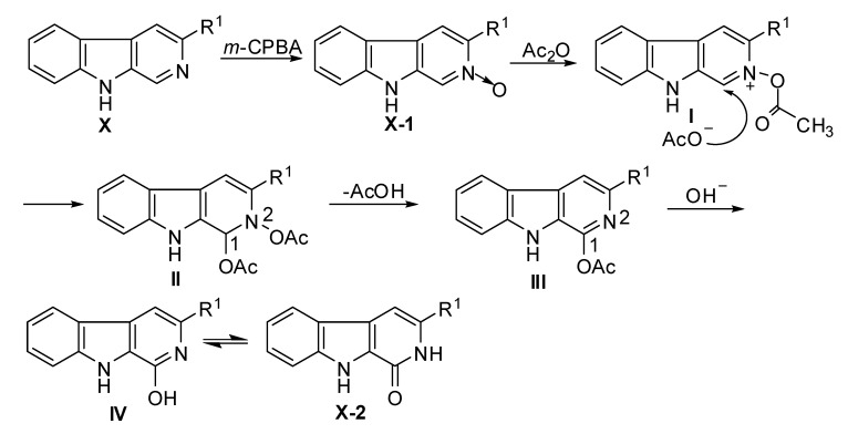 Scheme 5