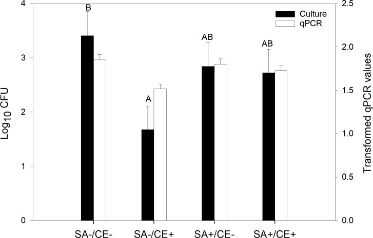 Fig 5