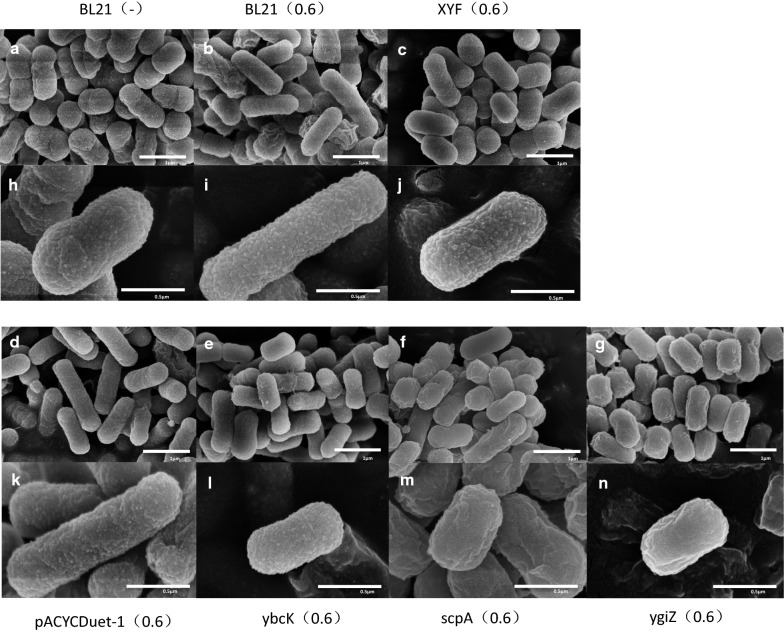 Fig. 8