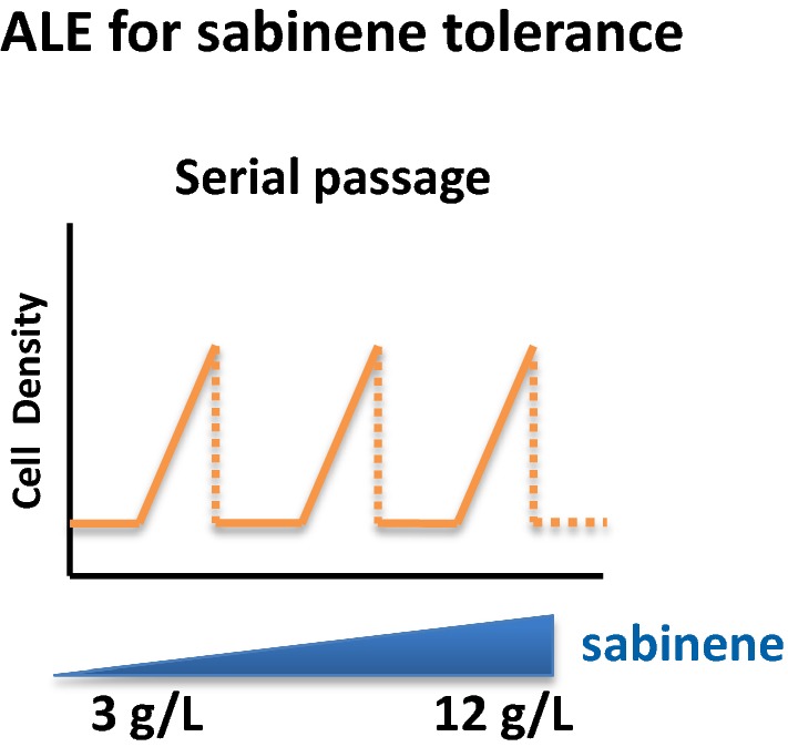 Fig. 2