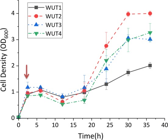 Fig. 7