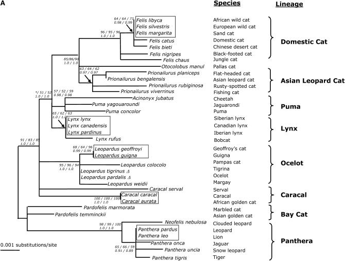 Figure 2.—