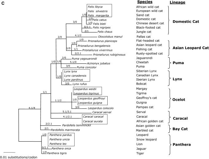 Figure 2.—