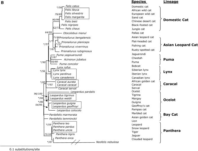 Figure 2.—