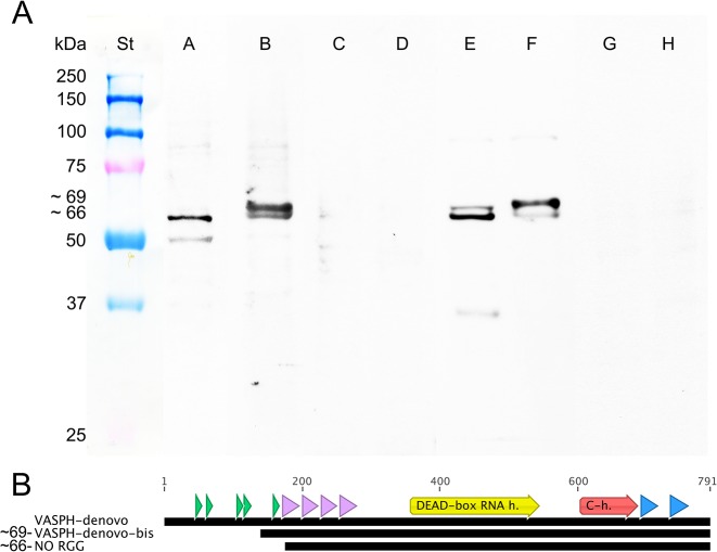 Fig 5