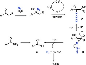 Scheme 7