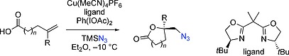 Scheme 22