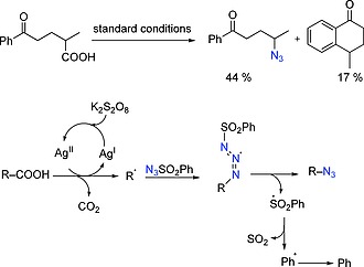 Scheme 64