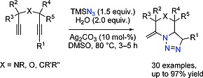 Scheme 58