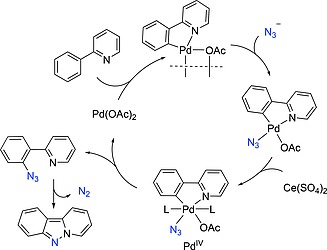 Scheme 50