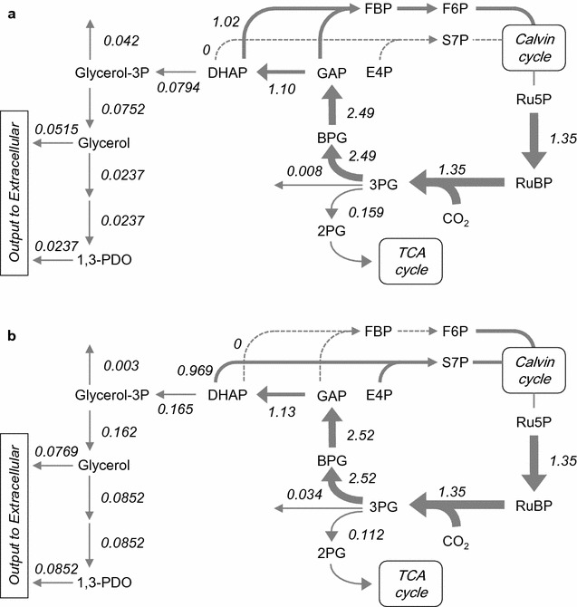 Fig. 4