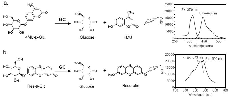 Fig. (1)