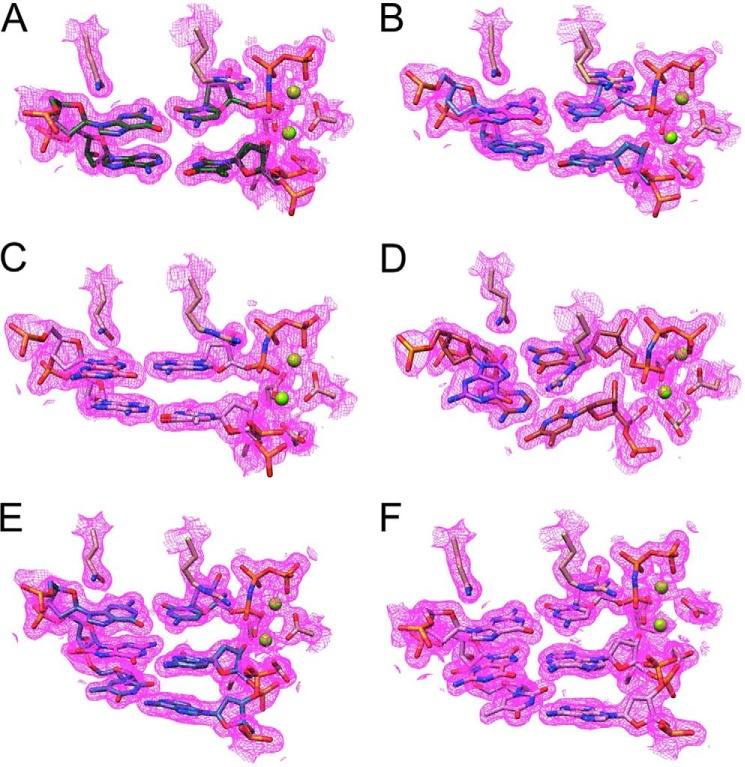 FIGURE 5.