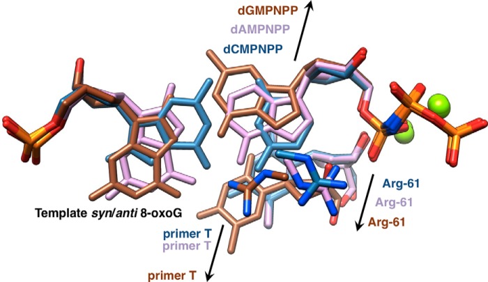 FIGURE 9.