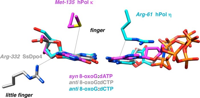 FIGURE 11.