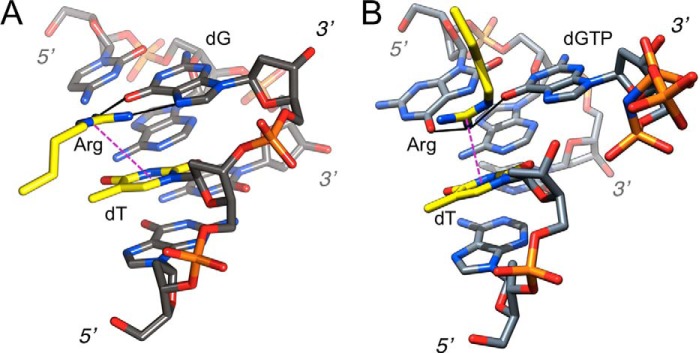 FIGURE 10.