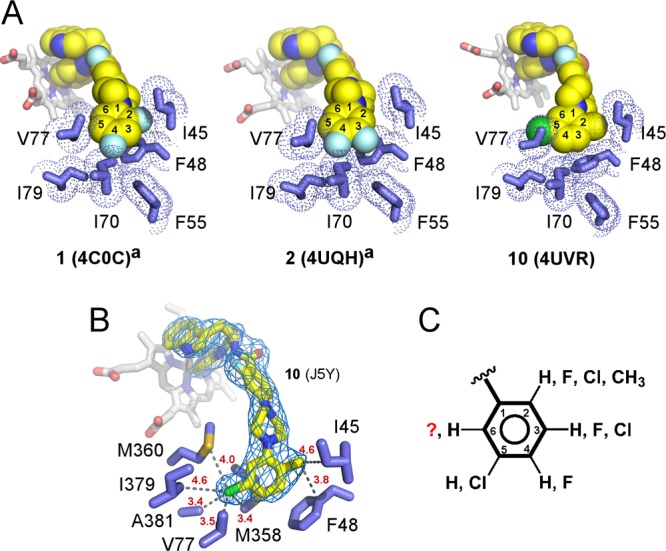 Figure 6