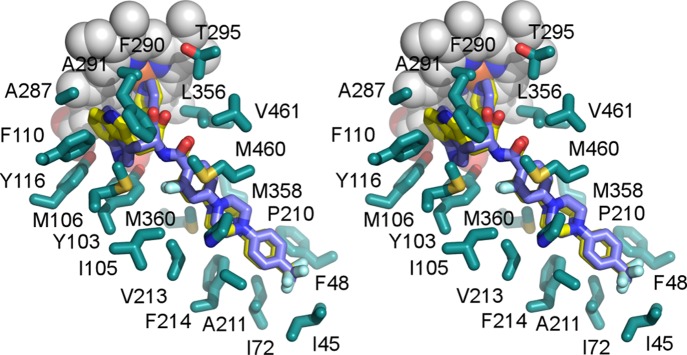 Figure 5