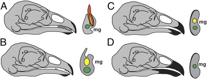 Fig. 4.