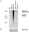 FIG. 8