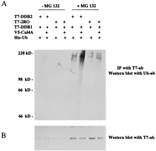 FIG. 6