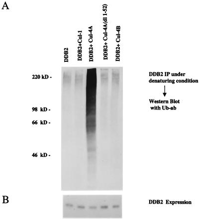 FIG. 8