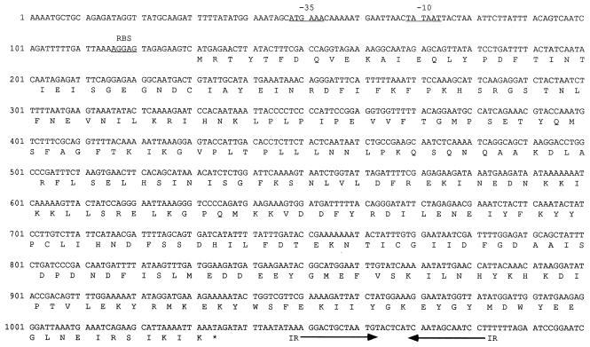 FIG. 1