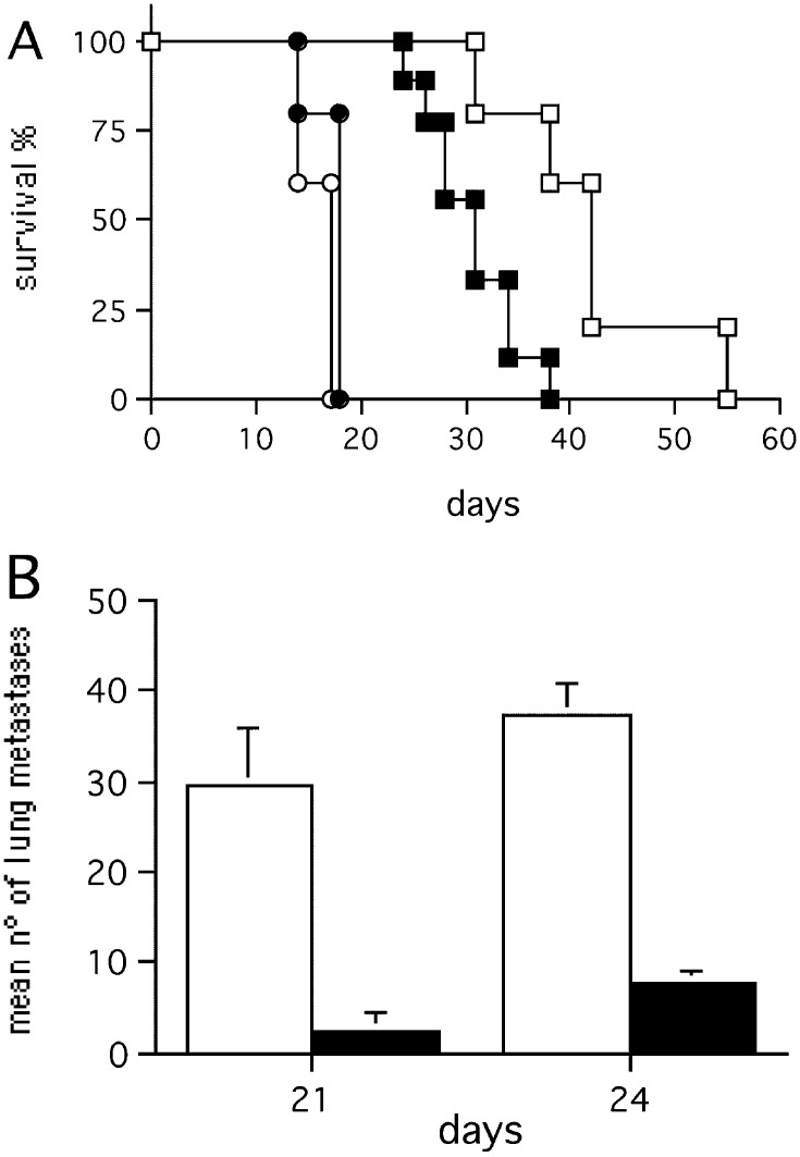 Fig. 7A,B