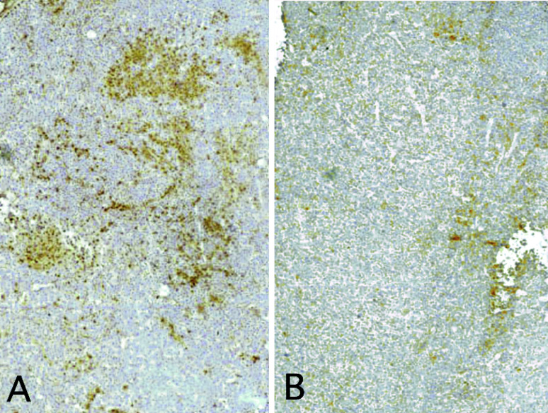 Fig. 3A,B